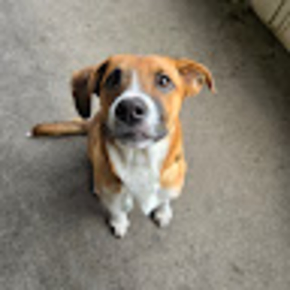 Meet your Posher, Lydia